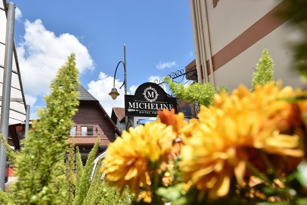 Micheline Tricot - Ao Lado Da Rua Coberta Hotel 4*